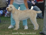 Filename=G-MagicGaietyGirl.jpg
Filesize=65KiB
Dimensions=700x550
Date added=Sep 16, 2009 G-MagicGaietyGirl.jpg