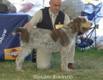 Filename=H-Ristoretto.jpg
Filesize=73KiB
Dimensions=700x550
Date added=Sep 16, 2009 H-Ristoretto.jpg