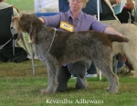 Filename=K-Adhewans.jpg
Filesize=67KiB
Dimensions=700x550
Date added=Sep 16, 2009 K-Adhewans.jpg