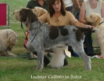 Filename=L-Callisto.jpg
Filesize=72KiB
Dimensions=700x550
Date added=Sep 16, 2009 L-Callisto.jpg