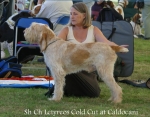 Filename=L-ColdCut.jpg
Filesize=73KiB
Dimensions=700x550
Date added=Sep 16, 2009 L-ColdCut.jpg