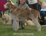 Filename=M-Cinnamon.jpg
Filesize=76KiB
Dimensions=700x550
Date added=Sep 16, 2009 M-Cinnamon.jpg