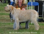 Filename=M-DizzyBlonde.jpg
Filesize=89KiB
Dimensions=700x550
Date added=Sep 16, 2009 M-DizzyBlonde.jpg
