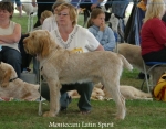 Filename=M-LatinSpirit.jpg
Filesize=72KiB
Dimensions=700x550
Date added=Sep 16, 2009 M-LatinSpirit.jpg