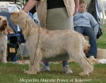 Filename=M-MajesticPrince.jpg
Filesize=68KiB
Dimensions=700x550
Date added=Sep 16, 2009 M-MajesticPrince.jpg