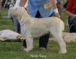 Filename=N-Tara.jpg
Filesize=62KiB
Dimensions=700x550
Date added=Sep 16, 2009 N-Tara.jpg