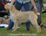 Filename=O-BreathOfHope.jpg
Filesize=71KiB
Dimensions=700x550
Date added=Sep 16, 2009 O-BreathOfHope.jpg
