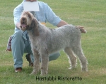 Filename=H-Ristoretto.jpg
Filesize=99KiB
Dimensions=772x609
Date added=Sep 16, 2009 H-Ristoretto.jpg