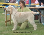 Filename=I-Massimiliano.jpg
Filesize=127KiB
Dimensions=892x723
Date added=Sep 16, 2009 I-Massimiliano.jpg