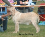 Filename=K-Denys.jpg
Filesize=100KiB
Dimensions=787x651
Date added=Sep 16, 2009 K-Denys.jpg