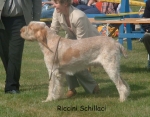 Dateiname=R-Schillaci.jpg
Dateigröße=88KB
Abmessungen: 796x624
hinzugefügt am: 16. September 2009 R-Schillaci.jpg