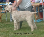 Filename=S-SanSisto.jpg
Filesize=94KiB
Dimensions=733x618
Date added=Sep 16, 2009 S-SanSisto.jpg