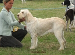 Filename=K-Mala.jpg
Filesize=57KiB
Dimensions=600x447
Date added=Sep 16, 2009 K-Mala.jpg