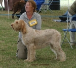 Filename=M-Annaliese.jpg
Filesize=51KiB
Dimensions=600x534
Date added=Sep 16, 2009 M-Annaliese.jpg