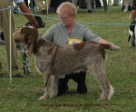 Filename=R-SeaBiscuit.jpg
Filesize=54KiB
Dimensions=600x499
Date added=Sep 16, 2009 R-SeaBiscuit.jpg