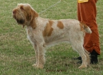 Filename=S-Jumanji.jpg
Filesize=53KiB
Dimensions=600x437
Date added=Sep 16, 2009 S-Jumanji.jpg