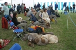 Filename=Spectators.jpg
Filesize=52KiB
Dimensions=600x398
Date added=Sep 16, 2009 Spectators.jpg