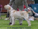 Filename=A-Nigel.jpg
Filesize=77KiB
Dimensions=650x500
Date added=Sep 16, 2009 A-Nigel.jpg