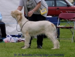 Filename=B-CuttingEdge.jpg
Filesize=64KiB
Dimensions=650x500
Date added=Sep 16, 2009 B-CuttingEdge.jpg