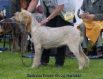 Filename=B-DreamOn.jpg
Filesize=64KiB
Dimensions=650x500
Date added=Sep 16, 2009 B-DreamOn.jpg