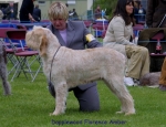 Filename=D-FlorenceAmber.jpg
Filesize=68KiB
Dimensions=650x500
Date added=Sep 16, 2009 D-FlorenceAmber.jpg