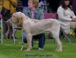 Filename=M-LatinSpirit.jpg
Filesize=66KiB
Dimensions=650x500
Date added=Sep 16, 2009 M-LatinSpirit.jpg