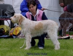 Filename=N-DaisyDuke.jpg
Filesize=66KiB
Dimensions=650x500
Date added=Sep 16, 2009 N-DaisyDuke.jpg