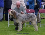 Filename=O-Jackaroo.jpg
Filesize=62KiB
Dimensions=650x500
Date added=Sep 16, 2009 O-Jackaroo.jpg