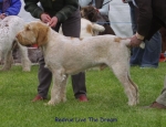 Filename=R-LiveTheDream.jpg
Filesize=62KiB
Dimensions=650x500
Date added=Sep 16, 2009 R-LiveTheDream.jpg