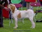 Filename=R-MakerOfDreams.jpg
Filesize=62KiB
Dimensions=650x500
Date added=Sep 16, 2009 R-MakerOfDreams.jpg