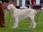 Filename=R-Pandora.jpg
Filesize=60KiB
Dimensions=650x500
Date added=Sep 16, 2009 R-Pandora.jpg