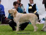 Filename=S-Nettezza.jpg
Filesize=66KiB
Dimensions=650x500
Date added=Sep 16, 2009 S-Nettezza.jpg