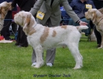 Filename=W-CrackerJack.jpg
Filesize=66KiB
Dimensions=650x500
Date added=Sep 16, 2009 W-CrackerJack.jpg