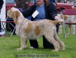 Filename=W-DesignSecret.jpg
Filesize=71KiB
Dimensions=650x500
Date added=Sep 16, 2009 W-DesignSecret.jpg