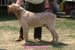 Filename=M-LatinSpirit.jpg
Filesize=52KiB
Dimensions=600x400
Date added=Sep 16, 2009 M-LatinSpirit.jpg