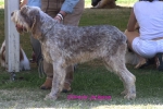 Filename=O-Jackaroo.jpg
Filesize=59KiB
Dimensions=600x400
Date added=Sep 16, 2009 O-Jackaroo.jpg