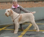 Filename=A-Mughetto.jpg
Filesize=76KiB
Dimensions=688x591
Date added=Sep 16, 2009 A-Mughetto.jpg