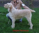 Filename=S-Nettezza.jpg
Filesize=70KiB
Dimensions=600x503
Date added=Sep 16, 2009 S-Nettezza.jpg