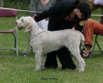 Filename=A-Amelia.jpg
Filesize=61KiB
Dimensions=650x528
Date added=Sep 16, 2009 A-Amelia.jpg