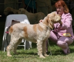 Filename=B-BornToLove.jpg
Filesize=69KiB
Dimensions=650x547
Date added=Sep 16, 2009 B-BornToLove.jpg