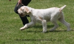 Filename=B-CuttingEdge-5.jpg
Filesize=74KiB
Dimensions=700x423
Date added=Sep 16, 2009 B-CuttingEdge-5.jpg