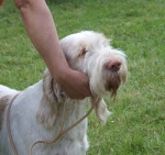 Filename=B-CuttingEdge2.JPG
Filesize=64KiB
Dimensions=600x565
Date added=Sep 16, 2009 B-CuttingEdge2.JPG