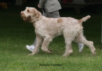 Filename=B-Daydream-3.jpg
Filesize=65KiB
Dimensions=700x488
Date added=Sep 16, 2009 B-Daydream-3.jpg