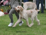 Filename=B-Daydream.jpg
Filesize=71KiB
Dimensions=700x535
Date added=Sep 16, 2009 B-Daydream.jpg