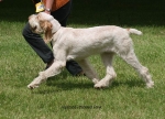Filename=H-TickledPink-3.jpg
Filesize=76KiB
Dimensions=700x505
Date added=Sep 16, 2009 H-TickledPink-3.jpg