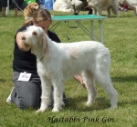 Filename=H-PinkGin.jpg
Filesize=87KiB
Dimensions=600x561
Date added=Sep 16, 2009 H-PinkGin.jpg