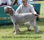 Filename=H-Ristoretto.jpg
Filesize=83KiB
Dimensions=600x536
Date added=Sep 16, 2009 H-Ristoretto.jpg