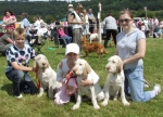 Filename=Puppies.JPG
Filesize=79KiB
Dimensions=600x435
Date added=Sep 16, 2009 Puppies.JPG