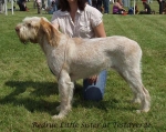 Filename=R-LittleSister.jpg
Filesize=80KiB
Dimensions=600x476
Date added=Sep 16, 2009 R-LittleSister.jpg