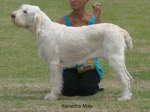Filename=K-Mala.jpg
Filesize=58KiB
Dimensions=650x486
Date added=Sep 16, 2009 K-Mala.jpg